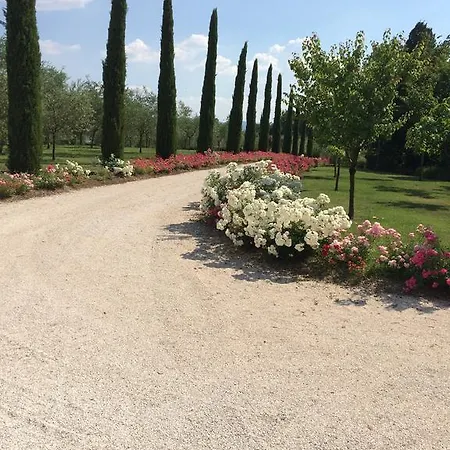 Podere Bellagatta * Buonconvento